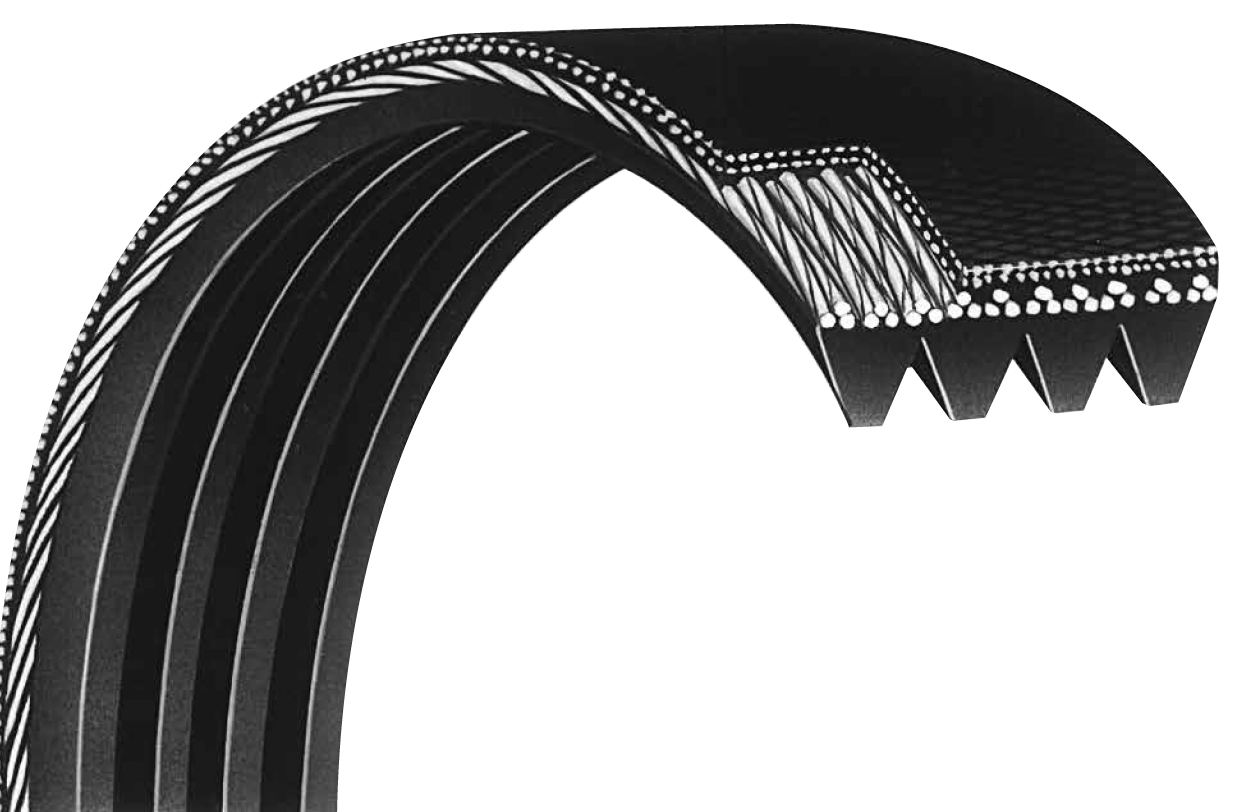 Bando 310J8 Rib Ace V-Rib