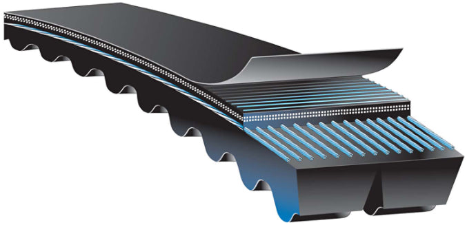 Gates Super HC Molded Notch PowerBand Belts 10/3VX560